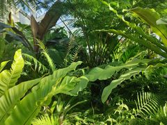 -国家植物园南园