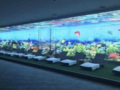 大堂-海洋之星休闲汗蒸浴场