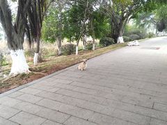 -五里桥文化公园-西侧停车场