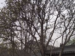 -北京石刻艺术博物馆(五塔寺)