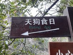 -龙湾潭国家森林公园
