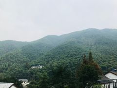 -WILDS 野有食(碧坞店)