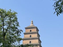 -大慈恩寺(大雁塔)