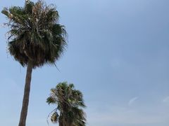-领事馆19号中餐厅(厦门海景洲际酒店)