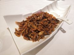 香辣香葱炒河虾-万龙洲海鲜(大兴绿地缤纷城店)