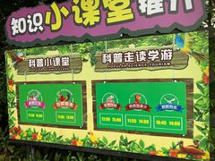 -广州长隆飞鸟乐园