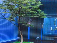 -沐庭影院泰式spa