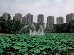 -龙头寺公园