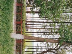 -苏州太湖湖滨国家湿地公园