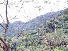 -宁波五龙潭景区