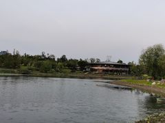 -桂溪生态公园