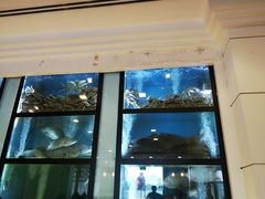 -新加坡海鲜共和(名胜世界圣淘沙海滨坊)