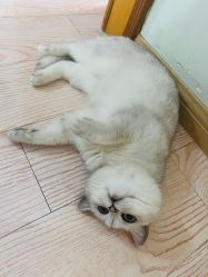 -D.z Salon 无痕接发潮店