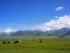 -新疆那拉提国家旅游度假区