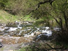 -叠溪松坪沟景区