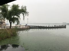 景点-蠡湖大桥公园