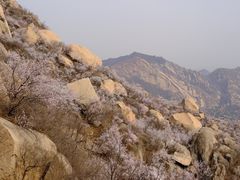 -北京凤凰岭
