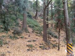 -金堂县云顶石城风景区