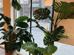 -仁义涵西餐·咖啡(中华巴洛克店)