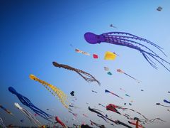 -潍坊滨海云门国际风筝放飞场