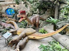 -国家自然博物馆