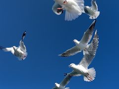 -丽江泸沽湖景区