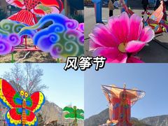 -禅宗少林·音乐大典