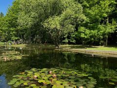 -上海共青森林公园