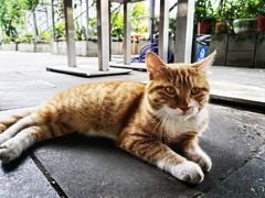 -泸州唯逸酒店(大山坪警察学院店)