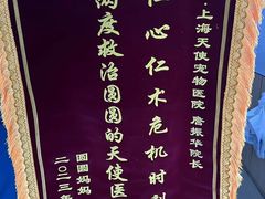 -瑞派天使宠物医院·神经外科·骨科·核磁(洛川中路店)