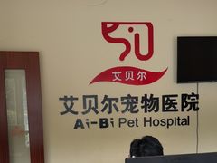 -艾贝尔宠物医院 ·内科全科(梁溪路店)