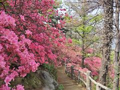 -木兰云雾山