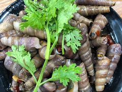 钉螺-老虎滩大连海鲜烧烤(建邺云锦路总店)