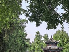 -洛阳白马寺