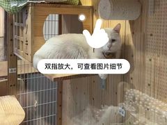 -府学·秋果S酒店(北京南锣鼓巷四合院店)