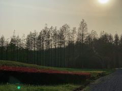 -梁鸿国家湿地公园