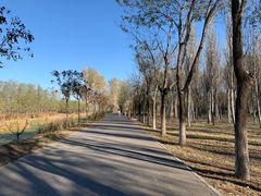 -东郊湿地公园