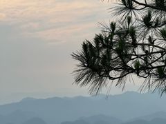 -千岛湖天屿景区