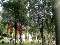 -广州市白云山风景名胜区
