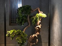 -百富源·海鲜辽菜(浑河堡店)