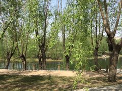 -长春公园(普阳街道)