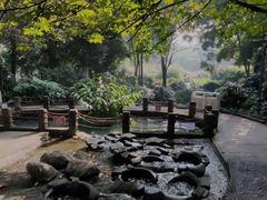 -成都市活水公园