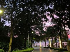 -绿城千岛湖喜来登度假酒店