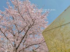 -龙美术馆(西岸馆)