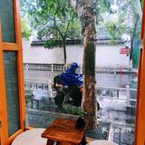 街边令少女心满意足的国风甜品店