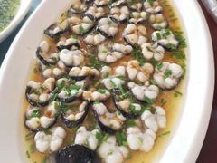 -呼吸森林·生态农庄农家乐私房菜