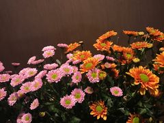 -杭州逸酒店(西湖武林店)