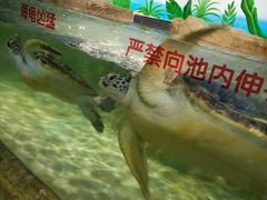 -石家庄海洋公园