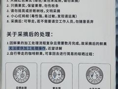 -Torch Coffee 炬点咖啡