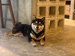 -自由生长植物工作室(深港花卉中心店)